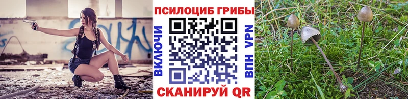 Галлюциногенные грибы GOLDEN TEACHER  Кинешма 